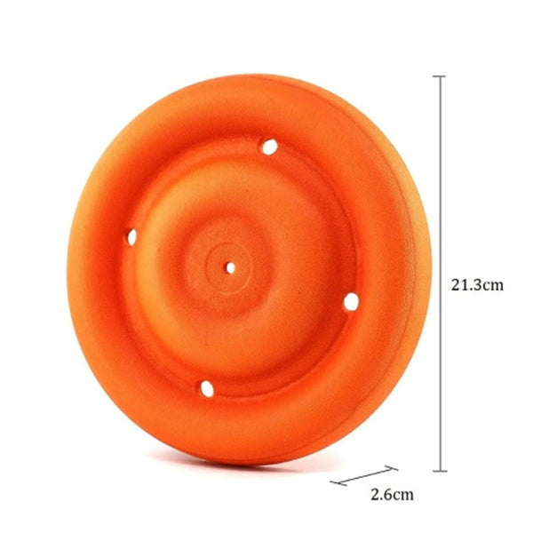 Frisbee Camera Mount