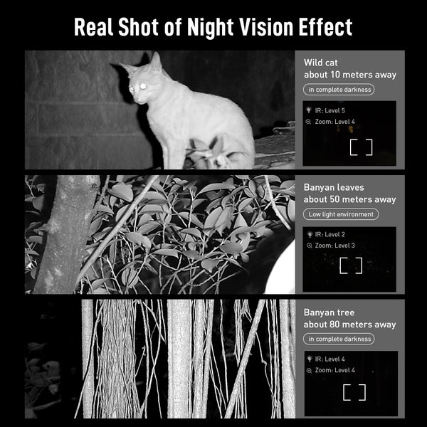Digital Night Vision Binoculars