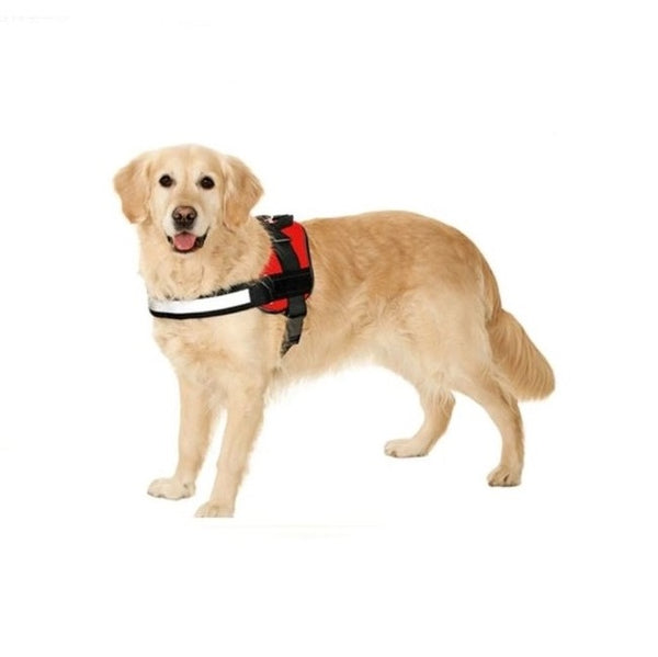 Dog Harness Mount for GoPro