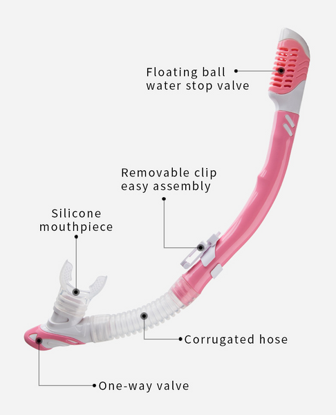 Professional Snorkel Mask Set