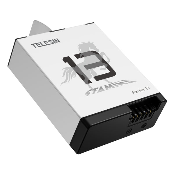 Stamina Battery for GoPro Mission 1 Series